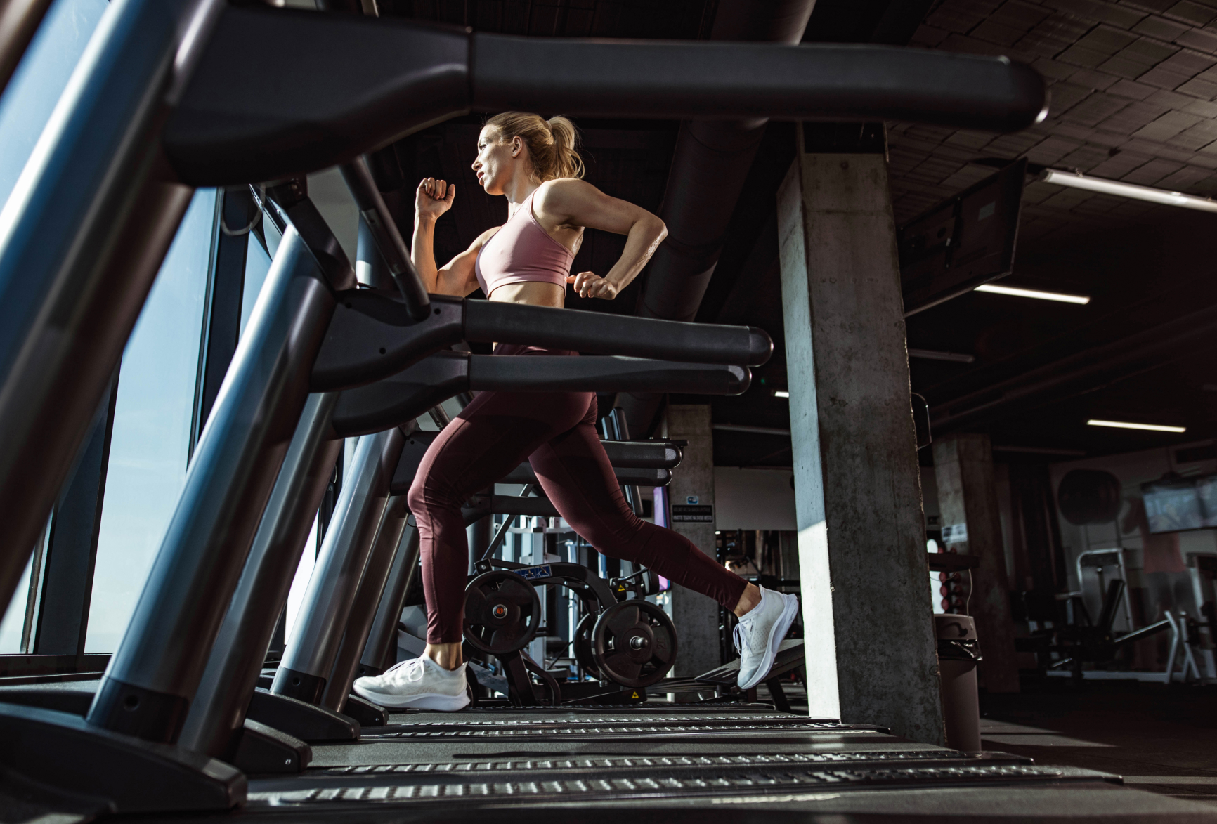 Commercial Gym Equipment New Zealand