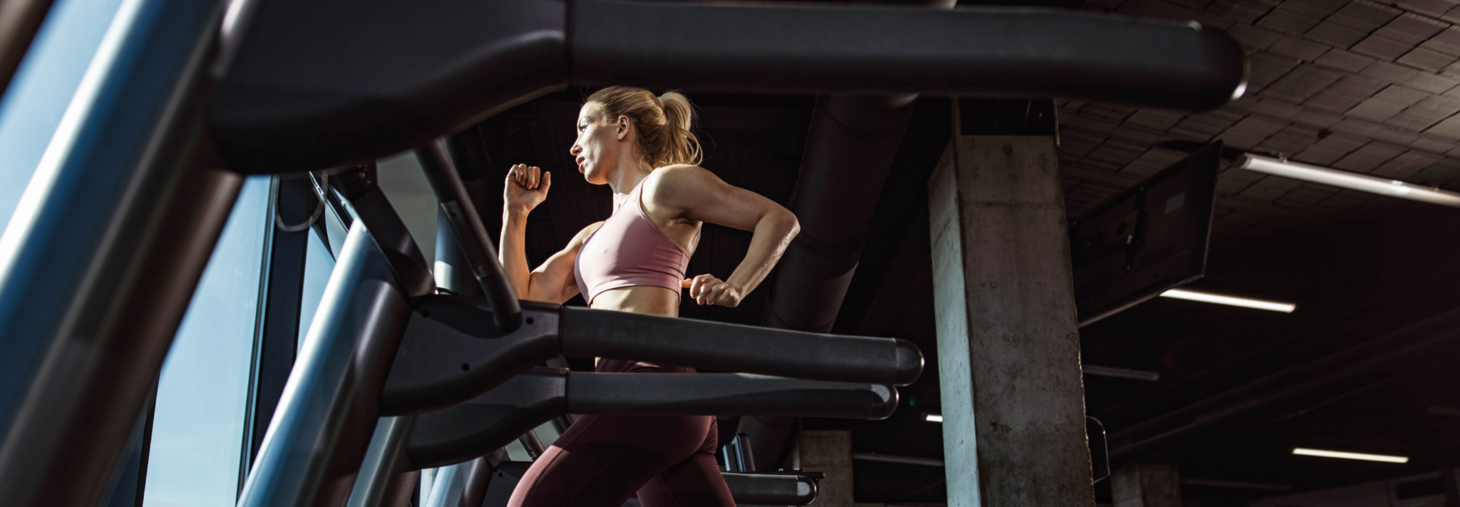Commercial Gym Equipment New Zealand